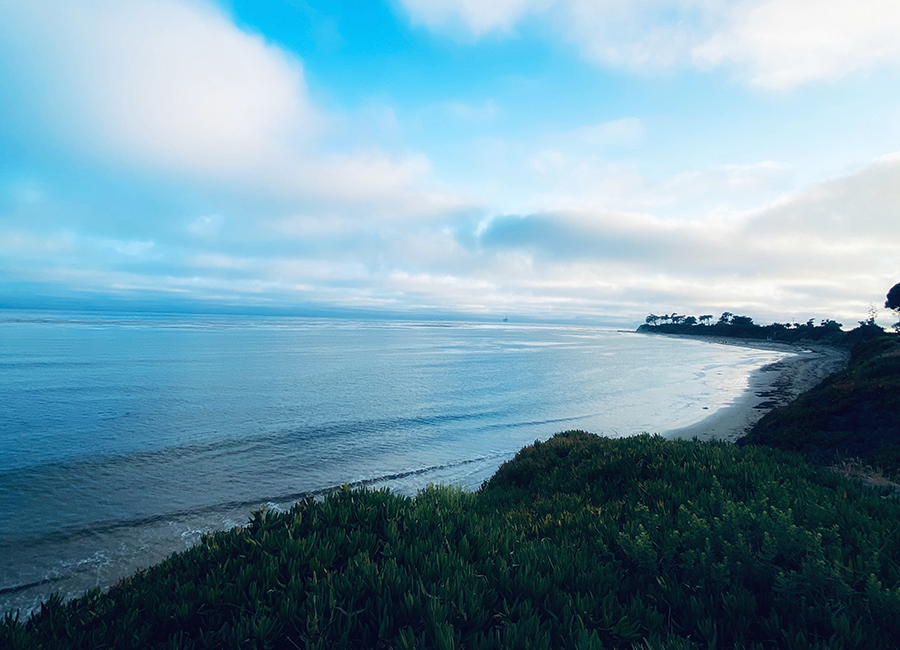 California Conservation