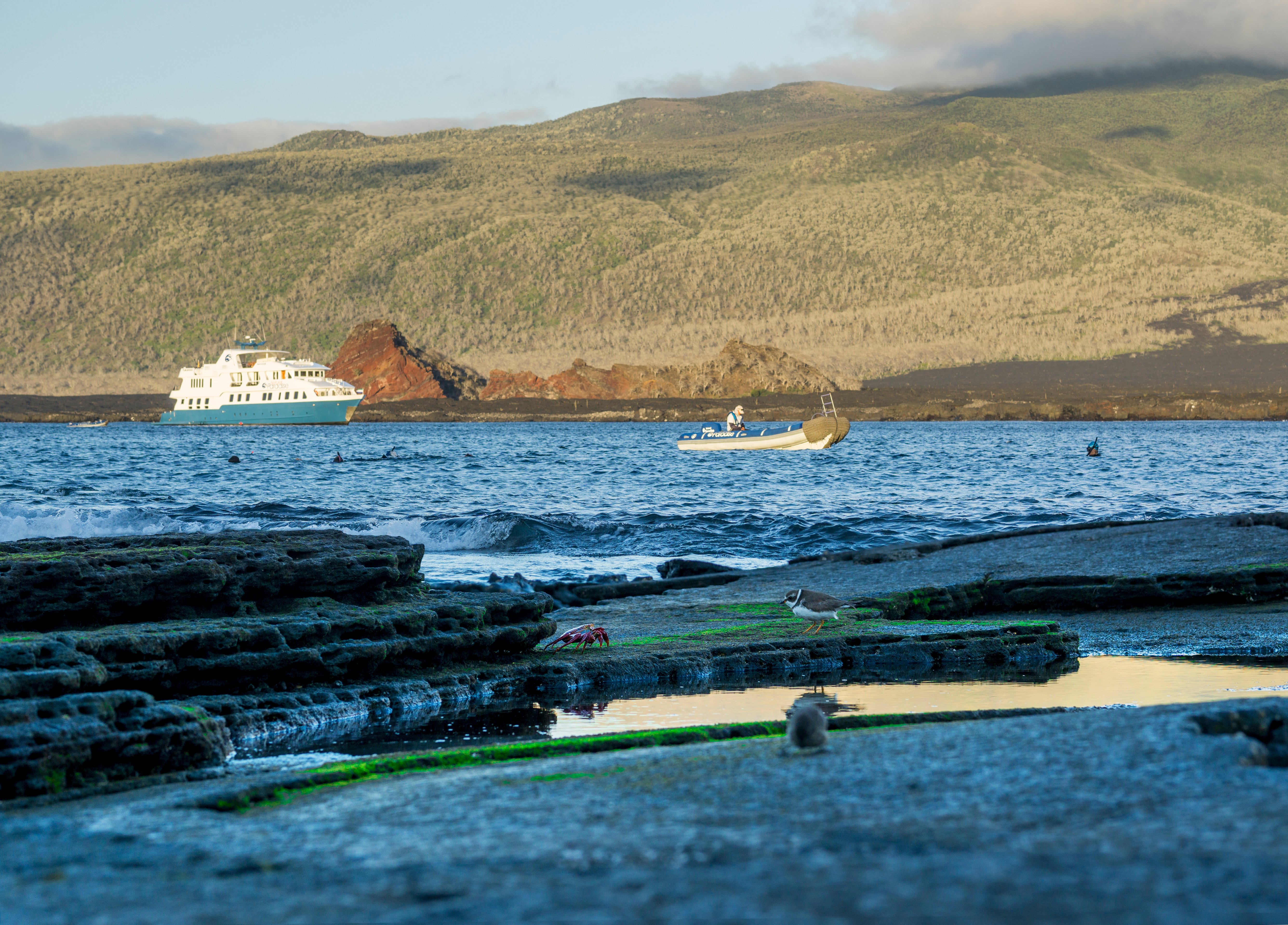 NATURAL PARADISEPANGA