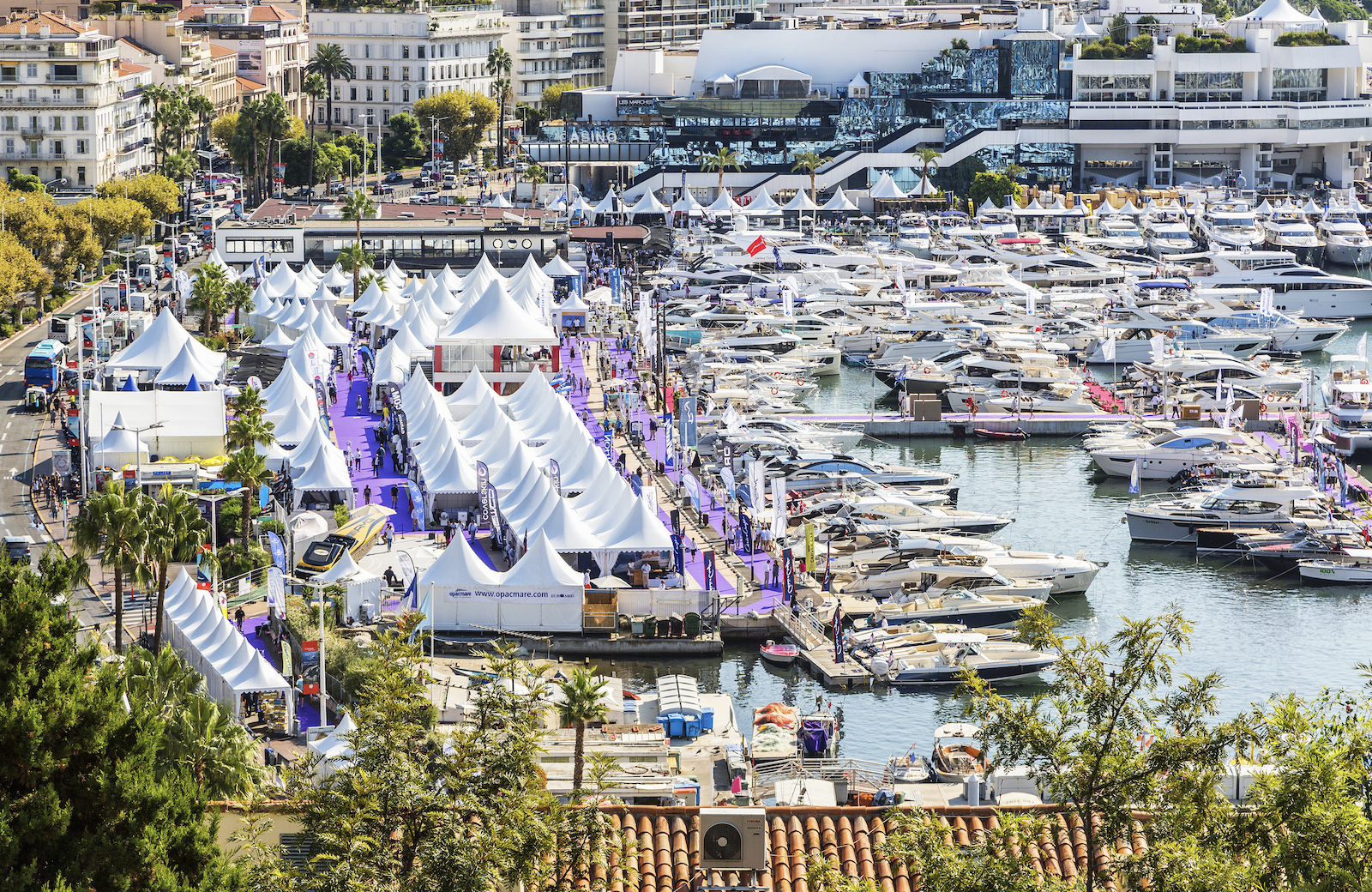 Screen Shot 2022 08 09 At 4.52.21 PM