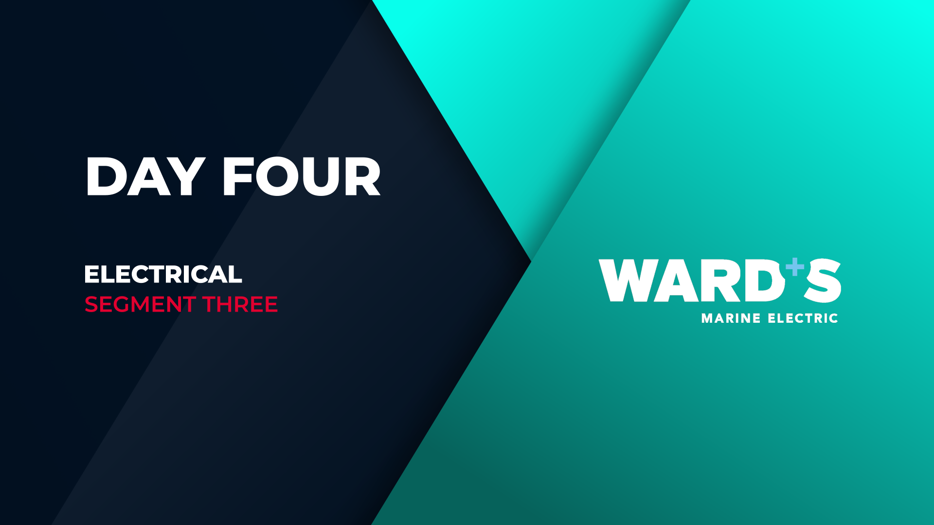 WARDS   YEW 2023.00_00_02_24.Still001